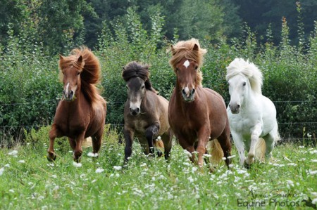 Fotokurs mit Christiane Slawik I 3351 Weistrach I 09/2012