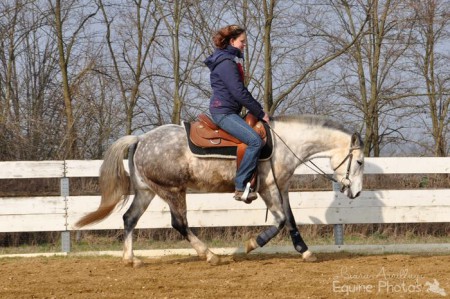 Gerald Freitag Kurs | 2031 Eggendorf im Thale | 03/2014