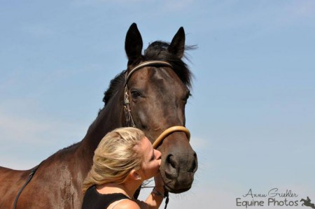 Traberstute Cindy | 09/2013