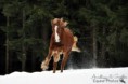 /album/fotogalerie/a382719-345686212110208-509574873-n-jpg/