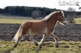 /album/fotogalerie/a394492-346738215338341-361354692-n-jpg/